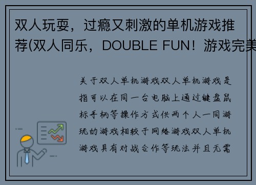 双人玩耍，过瘾又刺激的单机游戏推荐(双人同乐，DOUBLE FUN！游戏完美推荐)